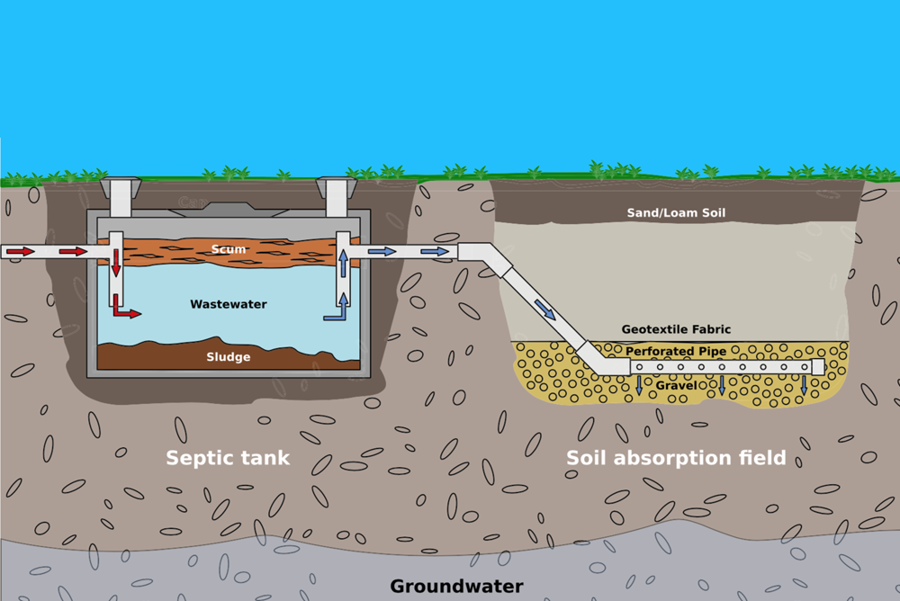 septic system & Drainfield